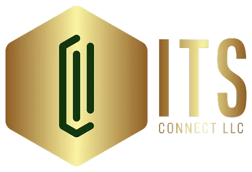 ITS CONNECT LLC