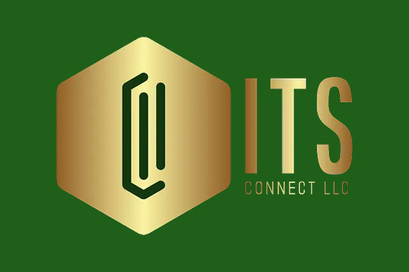 Color Logo Its